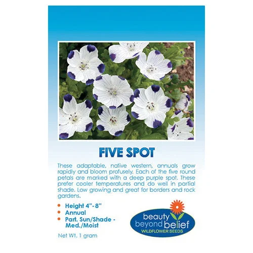 Flower Seed