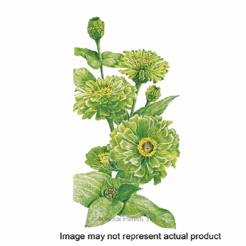 Flower Seed