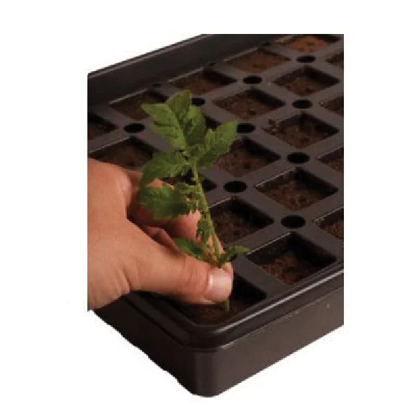 Cutting Tray